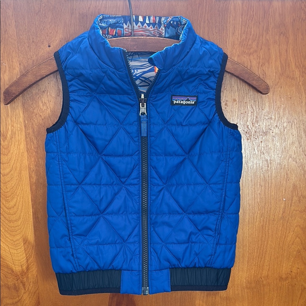 Patagonia Worn Wear reversible vest